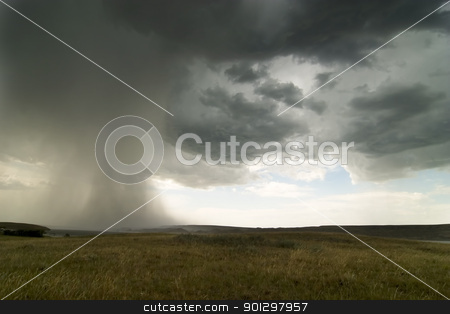 To use this stock image in your creative project, please select the size you need over to the right and click the "Add to Cart" button.
Your downloaded image will come with the Cutcaster watermark removed so don’t worry about the watermark you see on this page. Rain Cloud stock photo, Rain clouds on the horizon over a Saskatchewan landscape. by Tyler Olson