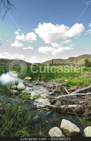 To use this stock image in your creative project, please select the size you need over to the right and click the "Add to Cart" button.
Your downloaded image will come with the Cutcaster watermark removed so don’t worry about the watermark you see on this page. Beaver Dam stock photo, Beaver dam on the swift current creek near Stewart Valley by Tyler Olson