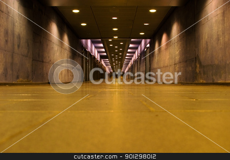 To use this stock image in your creative project, please select the size you need over to the right and click the "Add to Cart" button.
Your downloaded image will come with the Cutcaster watermark removed so don’t worry about the watermark you see on this page. Abandoned Tunnel stock photo, Abandoned hallway in the Oslo Central Station, underground pathway to the train platforms. by Tyler Olson