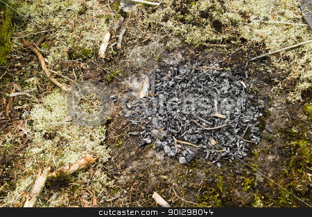 To use this stock image in your creative project, please select the size you need over to the right and click the "Add to Cart" button.
Your downloaded image will come with the Cutcaster watermark removed so don’t worry about the watermark you see on this page. Camp Fire Ash stock photo, The remains from a camp fire in the forest. by Tyler Olson
