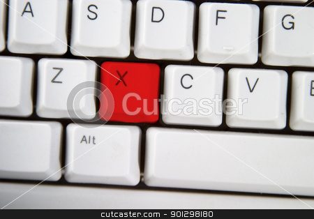 To use this stock image in your creative project, please select the size you need over to the right and click the "Add to Cart" button.
Your downloaded image will come with the Cutcaster watermark removed so don’t worry about the watermark you see on this page. Computer Keyboard Letter X stock photo, Isolated letter X on from a computer desktop keyboard highlighted in red by Tyler Olson