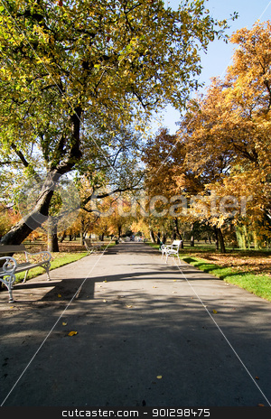 To use this stock image in your creative project, please select the size you need over to the right and click the "Add to Cart" button.
Your downloaded image will come with the Cutcaster watermark removed so don’t worry about the watermark you see on this page. Vojanovy Sady Park stock photo, Vojanovy Sady park in Prague, Czech Republuc. by Tyler Olson