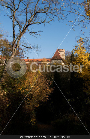 To use this stock image in your creative project, please select the size you need over to the right and click the "Add to Cart" button.
Your downloaded image will come with the Cutcaster watermark removed so don’t worry about the watermark you see on this page. Golden Forest stock photo, A golden forest in the fall by Tyler Olson
