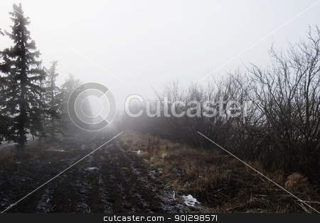 To use this stock image in your creative project, please select the size you need over to the right and click the "Add to Cart" button.
Your downloaded image will come with the Cutcaster watermark removed so don’t worry about the watermark you see on this page. Foggy Tree Row stock photo, Row of trees in the fog. by Tyler Olson