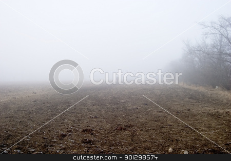 To use this stock image in your creative project, please select the size you need over to the right and click the "Add to Cart" button.
Your downloaded image will come with the Cutcaster watermark removed so don’t worry about the watermark you see on this page. Foggy Tree Row stock photo, Row of trees in the fog. by Tyler Olson