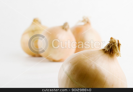 To use this stock image in your creative project, please select the size you need over to the right and click the "Add to Cart" button.
Your downloaded image will come with the Cutcaster watermark removed so don’t worry about the watermark you see on this page. Onion Group stock photo, A group of onions by Tyler Olson