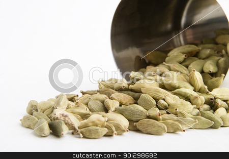To use this stock image in your creative project, please select the size you need over to the right and click the "Add to Cart" button.
Your downloaded image will come with the Cutcaster watermark removed so don’t worry about the watermark you see on this page. Bulk Cardamom stock photo, Cardamom ( Elettaria cardamomum) by Tyler Olson