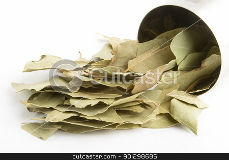 To use this stock image in your creative project, please select the size you need over to the right and click the "Add to Cart" button.
Your downloaded image will come with the Cutcaster watermark removed so don’t worry about the watermark you see on this page. Bay Leaves stock photo, Bulk Bay Leaves (Laurus nobilis) by Tyler Olson