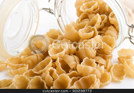 To use this stock image in your creative project, please select the size you need over to the right and click the "Add to Cart" button.
Your downloaded image will come with the Cutcaster watermark removed so don’t worry about the watermark you see on this page. Sea Shell Pasta stock photo, Bulk Sea Shell Pasta by Tyler Olson