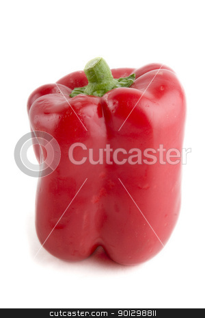To use this stock image in your creative project, please select the size you need over to the right and click the "Add to Cart" button.
Your downloaded image will come with the Cutcaster watermark removed so don’t worry about the watermark you see on this page. Red Bell Pepper stock photo, A slightly bruised red bell pepper on a white background by Tyler Olson