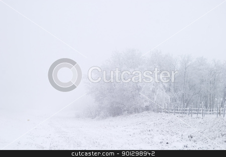 To use this stock image in your creative project, please select the size you need over to the right and click the "Add to Cart" button.
Your downloaded image will come with the Cutcaster watermark removed so don’t worry about the watermark you see on this page. Prairie Fog stock photo, Group of trees on a prairie landscape engulfed in fog. by Tyler Olson