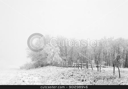 To use this stock image in your creative project, please select the size you need over to the right and click the "Add to Cart" button.
Your downloaded image will come with the Cutcaster watermark removed so don’t worry about the watermark you see on this page. Prairie Fog stock photo, Group of trees on a prairie landscape engulfed in fog in black and white by Tyler Olson
