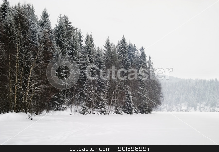 To use this stock image in your creative project, please select the size you need over to the right and click the "Add to Cart" button.
Your downloaded image will come with the Cutcaster watermark removed so don’t worry about the watermark you see on this page. Frozen Lake with Trees stock photo, A grouping of trees on a frozen lake during winter, Oslo, Norway by Tyler Olson