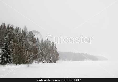 To use this stock image in your creative project, please select the size you need over to the right and click the "Add to Cart" button.
Your downloaded image will come with the Cutcaster watermark removed so don’t worry about the watermark you see on this page. Frozen Lake with Trees stock photo, A grouping of trees on a frozen lake during winter, Oslo, Norway by Tyler Olson