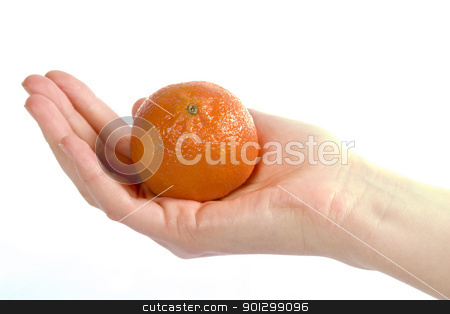 To use this stock image in your creative project, please select the size you need over to the right and click the "Add to Cart" button.
Your downloaded image will come with the Cutcaster watermark removed so don’t worry about the watermark you see on this page. Orange in Hand stock photo, A womans hand holding a small christmas orange in an open palm. Isolated on white with clipping path. by Tyler Olson