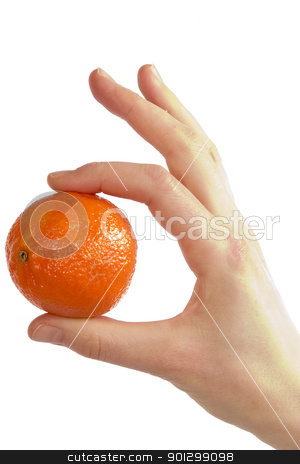 To use this stock image in your creative project, please select the size you need over to the right and click the "Add to Cart" button.
Your downloaded image will come with the Cutcaster watermark removed so don’t worry about the watermark you see on this page. Simply Orange stock photo, A womans hand holding a small christmas orange between her thunb and first finger. Isolated on white with clipping path. by Tyler Olson