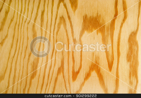 To use this stock image in your creative project, please select the size you need over to the right and click the "Add to Cart" button.
Your downloaded image will come with the Cutcaster watermark removed so don’t worry about the watermark you see on this page. Wood Texture stock photo, A light colored wood texture background image by Tyler Olson