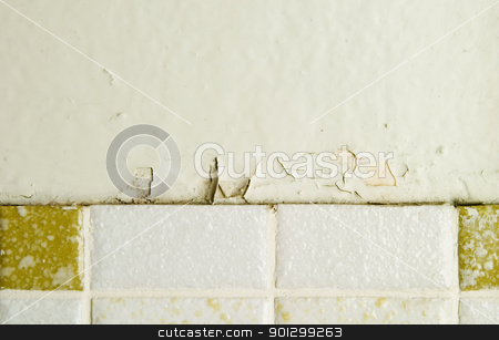 To use this stock image in your creative project, please select the size you need over to the right and click the "Add to Cart" button.
Your downloaded image will come with the Cutcaster watermark removed so don’t worry about the watermark you see on this page. Retro Wall Abstract stock photo, A retro 1970's bathroom wall abstract, with chipped paint and old tiles by Tyler Olson