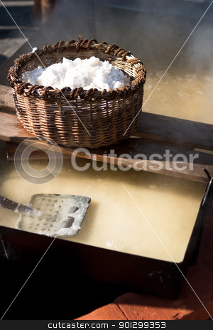 To use this stock image in your creative project, please select the size you need over to the right and click the "Add to Cart" button.
Your downloaded image will come with the Cutcaster watermark removed so don’t worry about the watermark you see on this page. Sea Salt Production stock photo, The production of natural sea salt from salt water by Tyler Olson