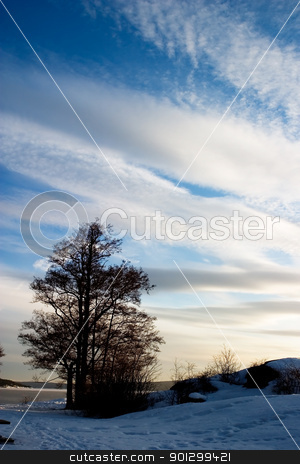 To use this stock image in your creative project, please select the size you need over to the right and click the "Add to Cart" button.
Your downloaded image will come with the Cutcaster watermark removed so don’t worry about the watermark you see on this page. Landscape with Tree stock photo, A landscape shot of a large tree standing by the ocean in the sunset by Tyler Olson