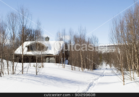 To use this stock image in your creative project, please select the size you need over to the right and click the "Add to Cart" button.
Your downloaded image will come with the Cutcaster watermark removed so don’t worry about the watermark you see on this page. Winter Forest Cabin stock photo, A cabin in the forest on a winter landscape. by Tyler Olson