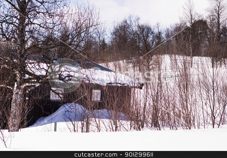 To use this stock image in your creative project, please select the size you need over to the right and click the "Add to Cart" button.
Your downloaded image will come with the Cutcaster watermark removed so don’t worry about the watermark you see on this page. Winter Cabin stock photo, A winter cabin in winter scene by Tyler Olson
