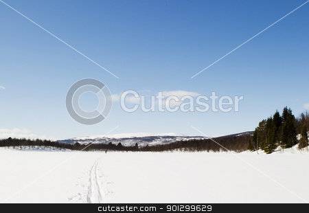To use this stock image in your creative project, please select the size you need over to the right and click the "Add to Cart" button.
Your downloaded image will come with the Cutcaster watermark removed so don’t worry about the watermark you see on this page. Frozen Lake Landscape stock photo, A frozen lake covered in snow. by Tyler Olson