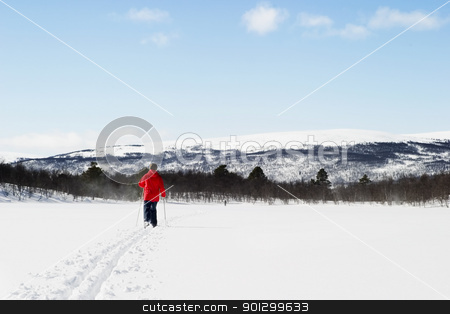 To use this stock image in your creative project, please select the size you need over to the right and click the "Add to Cart" button.
Your downloaded image will come with the Cutcaster watermark removed so don’t worry about the watermark you see on this page. Cross Country Landscape stock photo, A skier on a wintery snow filled landscape. by Tyler Olson