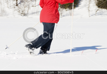 To use this stock image in your creative project, please select the size you need over to the right and click the "Add to Cart" button.
Your downloaded image will come with the Cutcaster watermark removed so don’t worry about the watermark you see on this page. Cross Country Landscape stock photo, A skier on a wintery snow filled landscape. by Tyler Olson
