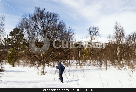 To use this stock image in your creative project, please select the size you need over to the right and click the "Add to Cart" button.
Your downloaded image will come with the Cutcaster watermark removed so don’t worry about the watermark you see on this page. Cross Country Skiing stock photo, A ski adventure on a snowy landscape by Tyler Olson