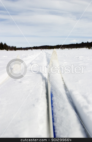 To use this stock image in your creative project, please select the size you need over to the right and click the "Add to Cart" button.
Your downloaded image will come with the Cutcaster watermark removed so don’t worry about the watermark you see on this page. Cross Country Skiing stock photo, Cross country skiing trail and skis across a frozen lake. by Tyler Olson