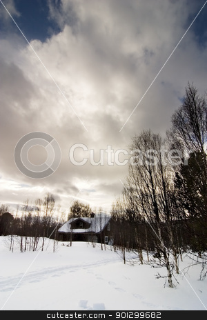 To use this stock image in your creative project, please select the size you need over to the right and click the "Add to Cart" button.
Your downloaded image will come with the Cutcaster watermark removed so don’t worry about the watermark you see on this page. Cabin in Snow Wonderland stock photo, Cabin in a snowy Norwegian landscape. by Tyler Olson