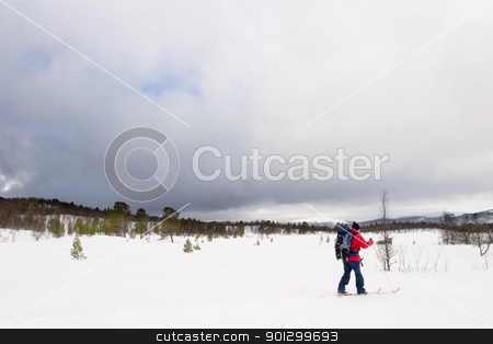 To use this stock image in your creative project, please select the size you need over to the right and click the "Add to Cart" button.
Your downloaded image will come with the Cutcaster watermark removed so don’t worry about the watermark you see on this page. Skiing in Winter stock photo, Skiing no a winter landscape by Tyler Olson