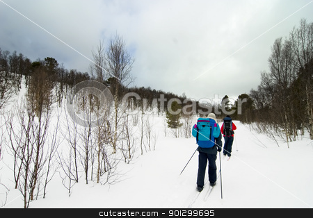 To use this stock image in your creative project, please select the size you need over to the right and click the "Add to Cart" button.
Your downloaded image will come with the Cutcaster watermark removed so don’t worry about the watermark you see on this page. Skiing in Winter stock photo, Skiing no a winter landscape by Tyler Olson