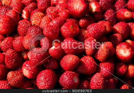 To use this stock image in your creative project, please select the size you need over to the right and click the "Add to Cart" button.
Your downloaded image will come with the Cutcaster watermark removed so don’t worry about the watermark you see on this page. Fresh Strawberry Texture stock photo, A background of fresh strawberries by Tyler Olson
