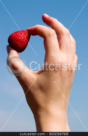 To use this stock image in your creative project, please select the size you need over to the right and click the "Add to Cart" button.
Your downloaded image will come with the Cutcaster watermark removed so don’t worry about the watermark you see on this page. Fresh Strawberry stock photo, A hand holding a single strawberry against the sky by Tyler Olson
