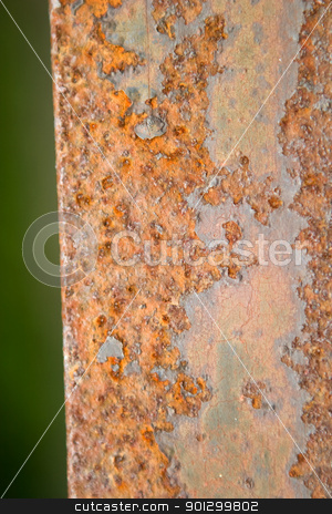 To use this stock image in your creative project, please select the size you need over to the right and click the "Add to Cart" button.
Your downloaded image will come with the Cutcaster watermark removed so don’t worry about the watermark you see on this page. Orange Rust Texture stock photo, An orange and brown rust background texture image. by Tyler Olson