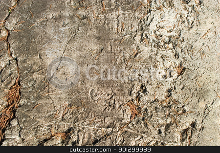 To use this stock image in your creative project, please select the size you need over to the right and click the "Add to Cart" button.
Your downloaded image will come with the Cutcaster watermark removed so don’t worry about the watermark you see on this page. Rock Texture stock photo, A layerd rock background texture from oslo, norway. by Tyler Olson