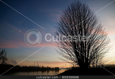 To use this stock image in your creative project, please select the size you need over to the right and click the "Add to Cart" button.
Your downloaded image will come with the Cutcaster watermark removed so don’t worry about the watermark you see on this page. Single Tree stock photo, A single tree on a hill near the ocean at sunset. by Tyler Olson