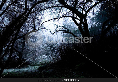To use this stock image in your creative project, please select the size you need over to the right and click the "Add to Cart" button.
Your downloaded image will come with the Cutcaster watermark removed so don’t worry about the watermark you see on this page. Spooky Path in Fog stock photo, A spooky path overshadowed bya group of dead trees in thick fog. by Tyler Olson