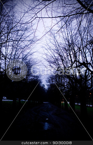 To use this stock image in your creative project, please select the size you need over to the right and click the "Add to Cart" button.
Your downloaded image will come with the Cutcaster watermark removed so don’t worry about the watermark you see on this page. Spooky Alley stock photo, A dark spooky alley overshadowed with trees by Tyler Olson
