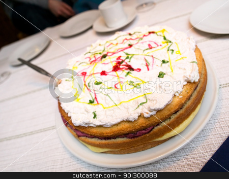 To use this stock image in your creative project, please select the size you need over to the right and click the "Add to Cart" button.
Your downloaded image will come with the Cutcaster watermark removed so don’t worry about the watermark you see on this page. Cream Cake stock photo, A close up of a cream cake taken with a shallow depth of field. by Tyler Olson