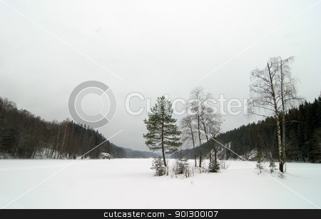 To use this stock image in your creative project, please select the size you need over to the right and click the "Add to Cart" button.
Your downloaded image will come with the Cutcaster watermark removed so don’t worry about the watermark you see on this page. Norwegian Winter Lake Landscape stock photo, A lake near Oslo, Norway during the winter on a cloudy dismal depressing day. by Tyler Olson