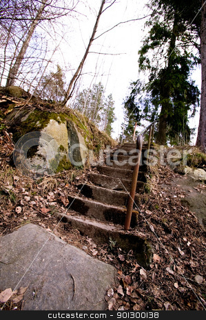 To use this stock image in your creative project, please select the size you need over to the right and click the "Add to Cart" button.
Your downloaded image will come with the Cutcaster watermark removed so don’t worry about the watermark you see on this page. Forest Path stock photo, An old concrete stair case leading into the forest. by Tyler Olson
