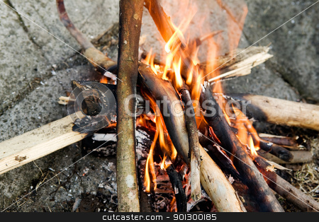 To use this stock image in your creative project, please select the size you need over to the right and click the "Add to Cart" button.
Your downloaded image will come with the Cutcaster watermark removed so don’t worry about the watermark you see on this page. Campfire Detail stock photo, A close up image of a campfire by Tyler Olson