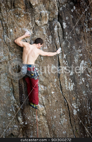 To use this stock image in your creative project, please select the size you need over to the right and click the "Add to Cart" button.
Your downloaded image will come with the Cutcaster watermark removed so don’t worry about the watermark you see on this page. Male Rock Climber stock photo, A male climber against a large rock face climbing lead. by Tyler Olson