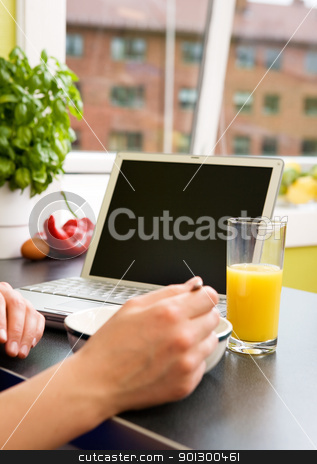 To use this stock image in your creative project, please select the size you need over to the right and click the "Add to Cart" button.
Your downloaded image will come with the Cutcaster watermark removed so don’t worry about the watermark you see on this page. Modern Breakfast stock photo, Eating breakfast at the computer in an apartment kitchen. by Tyler Olson