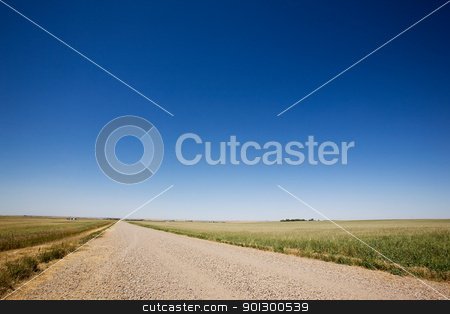 To use this stock image in your creative project, please select the size you need over to the right and click the "Add to Cart" button.
Your downloaded image will come with the Cutcaster watermark removed so don’t worry about the watermark you see on this page. Prairie Gravel Road stock photo, A prairie gavel road stretching off into the distance with no end in site. by Tyler Olson
