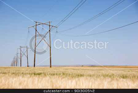 To use this stock image in your creative project, please select the size you need over to the right and click the "Add to Cart" button.
Your downloaded image will come with the Cutcaster watermark removed so don’t worry about the watermark you see on this page. Prairie Power Line stock photo, A high capacity prairie power line stretches off into the distance. by Tyler Olson