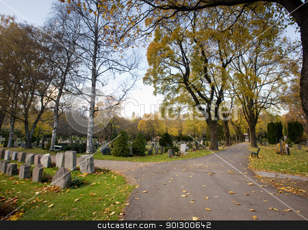 To use this stock image in your creative project, please select the size you need over to the right and click the "Add to Cart" button.
Your downloaded image will come with the Cutcaster watermark removed so don’t worry about the watermark you see on this page. Graveyard stock photo, A graveyard in the fall by Tyler Olson